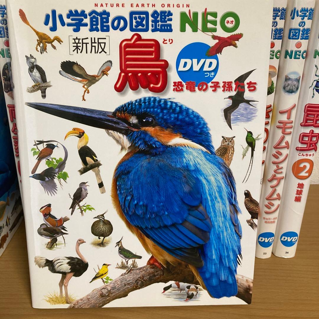 小学館の図鑑NEO 全14巻 DVD付き