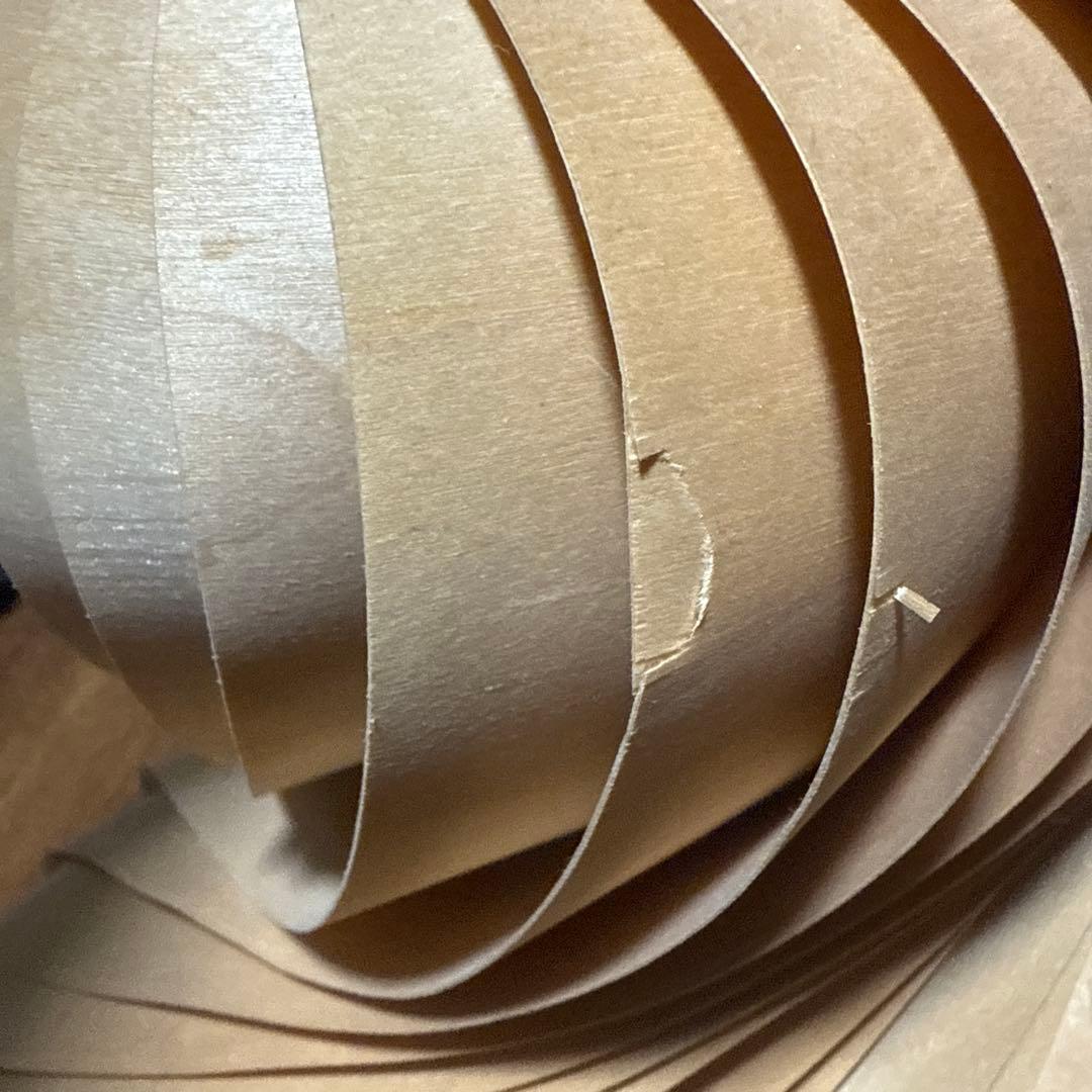 最終値下げ　 TR22ペンダントランプ ペンダントライト Tom Rossau