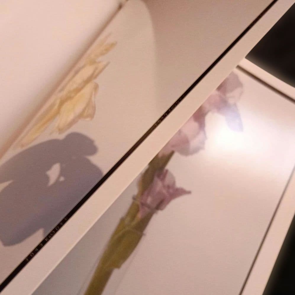 上田義彦写真集「Flowers」 伊藤俊治 光琳社 1997年初版