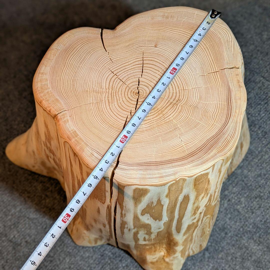 天然椹　サワラ　切り株　高さ約29.5㎝