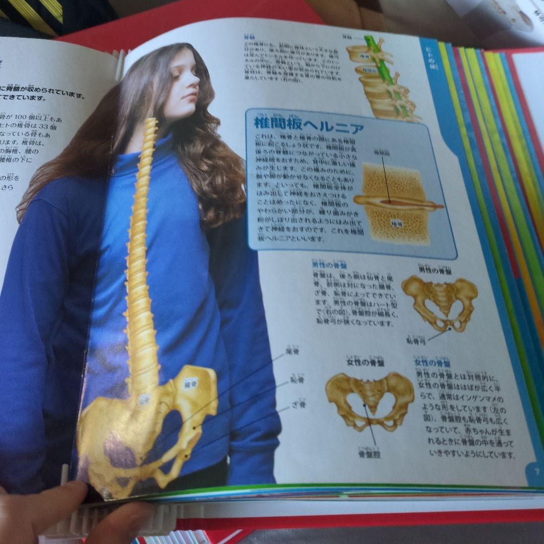 体のふしぎ 八冊セットとその他グッズ