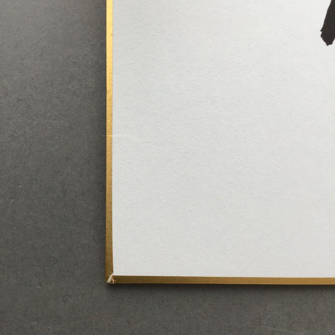 色紙　若乃花、貴乃花直筆揮毫手形　記念写真付　畳紙　配送用袋　S1040SS