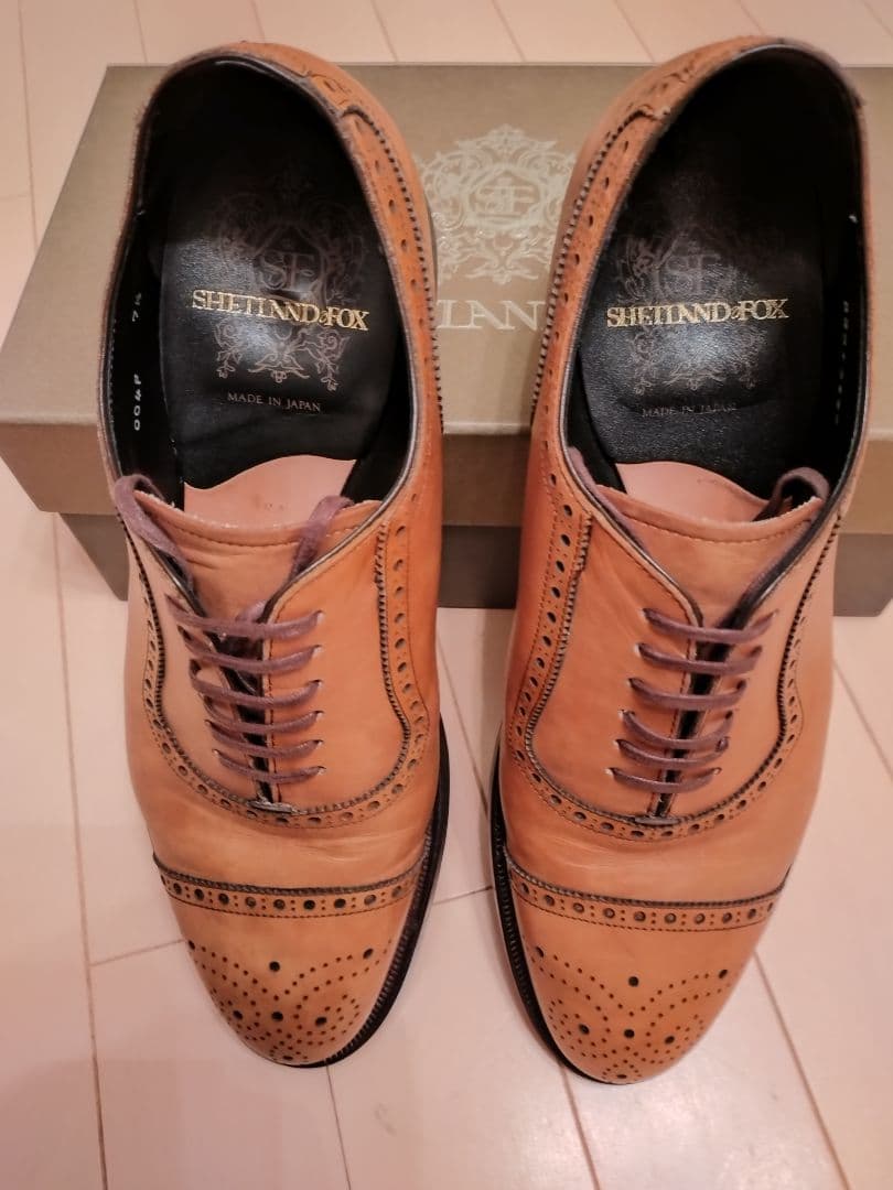 REGAL　シェットランドフォックス