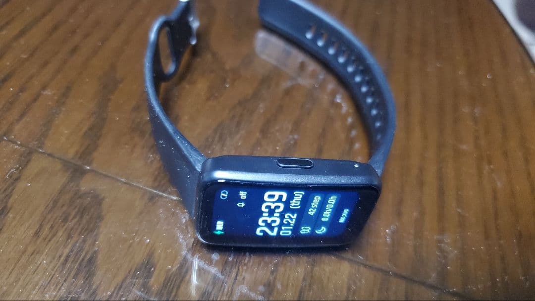 値下げ不可 サウナウオッチ　SHOW DOWN1