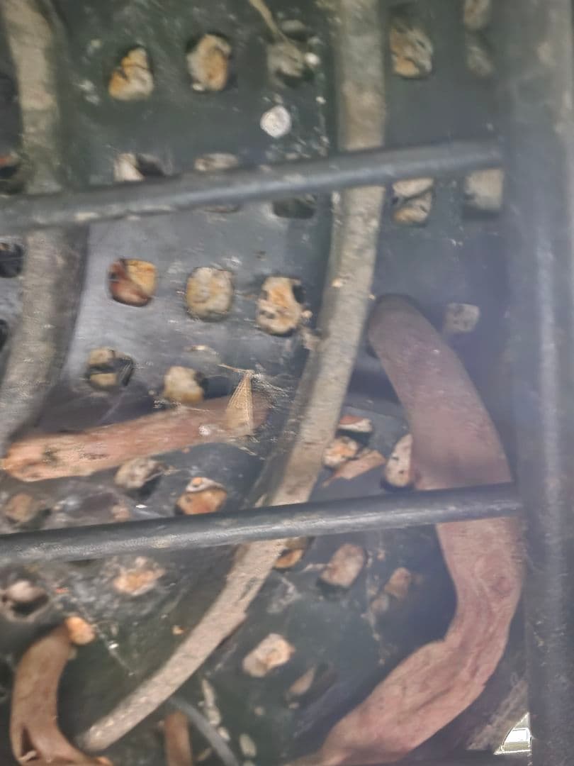 ユッカリギダ (あ)