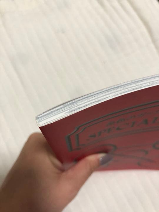 金色のガッシュ　完全版　全巻購入特典　SPECIAL BOOK