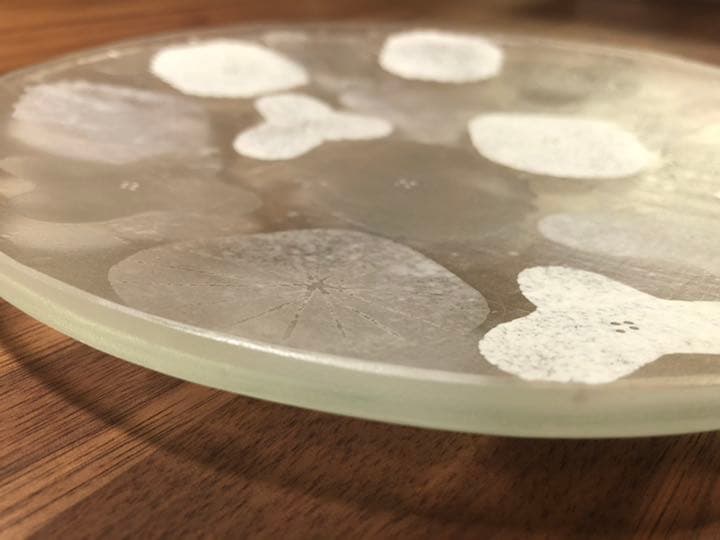 八木 麻子 さん　ブーケ　ガラス　プレート　皿