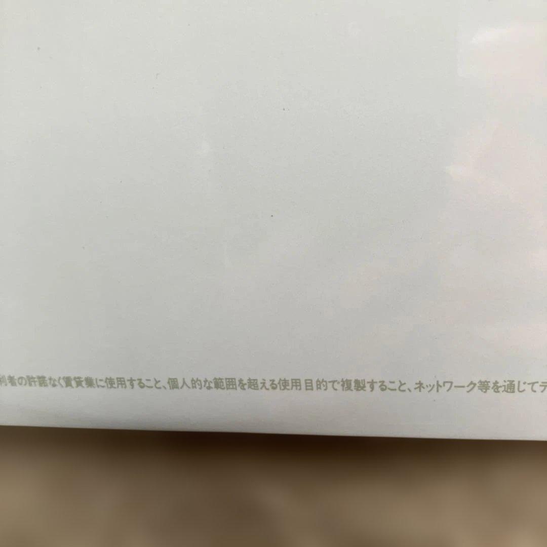 12インチ 日本版(盤)/ホワイト・アルバム・2枚組み