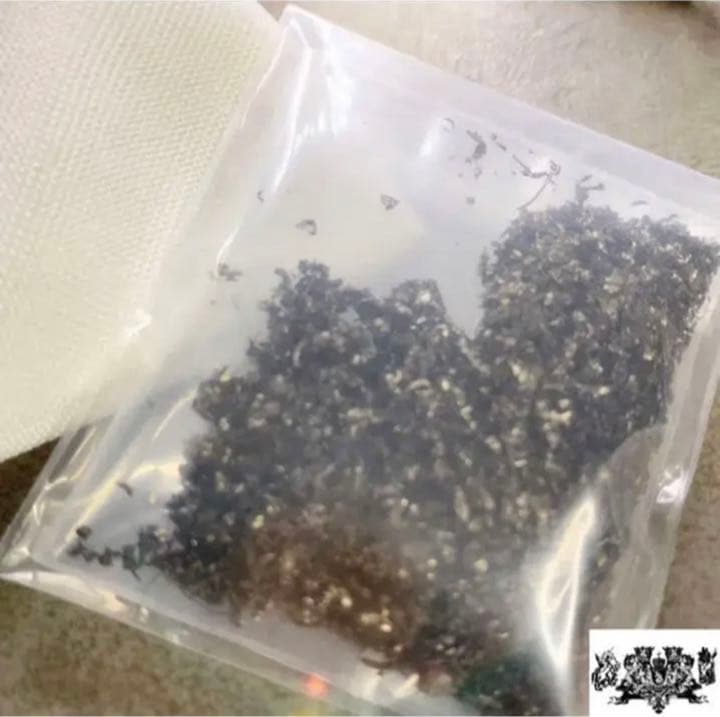 宇宙の流れ星の粉 ✨✨✨✨ レースホワイトフェアリー　✨✨✨