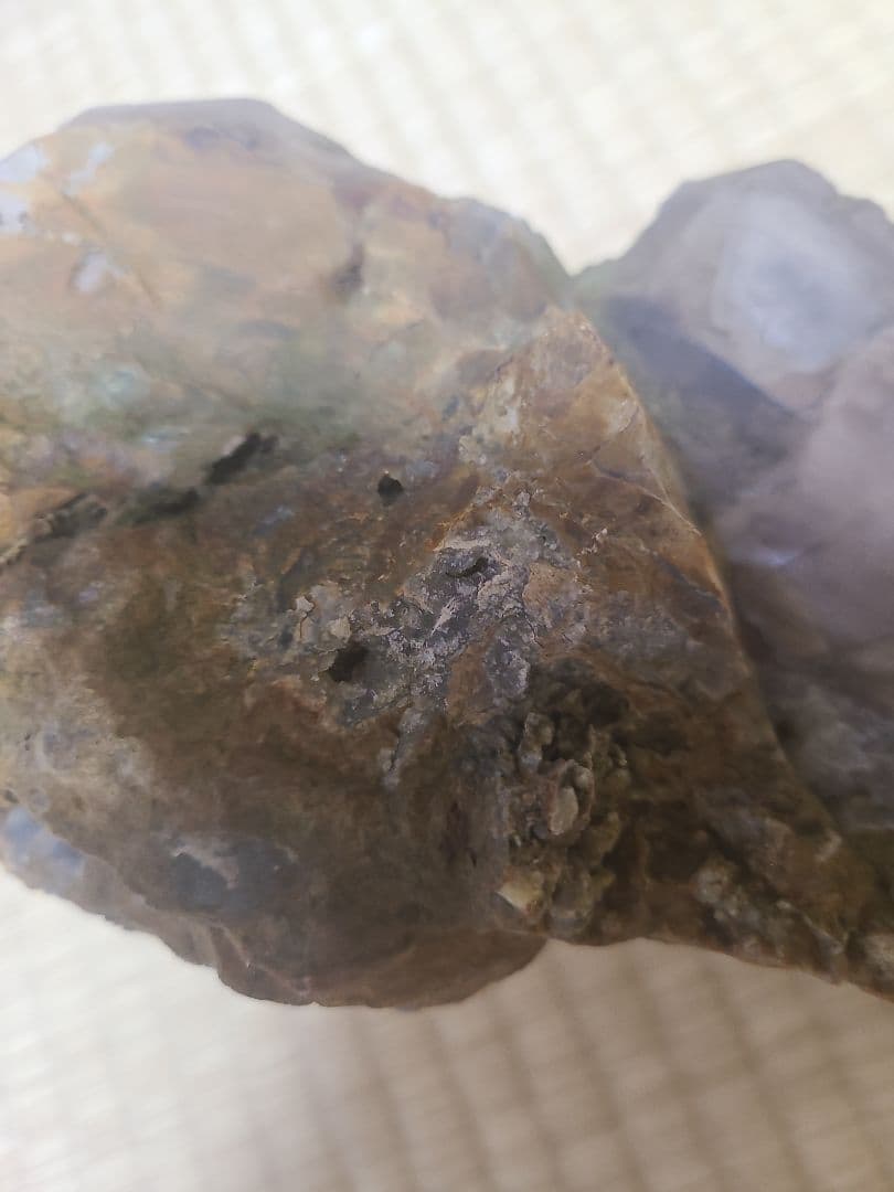 珪化木(3.8キロ)