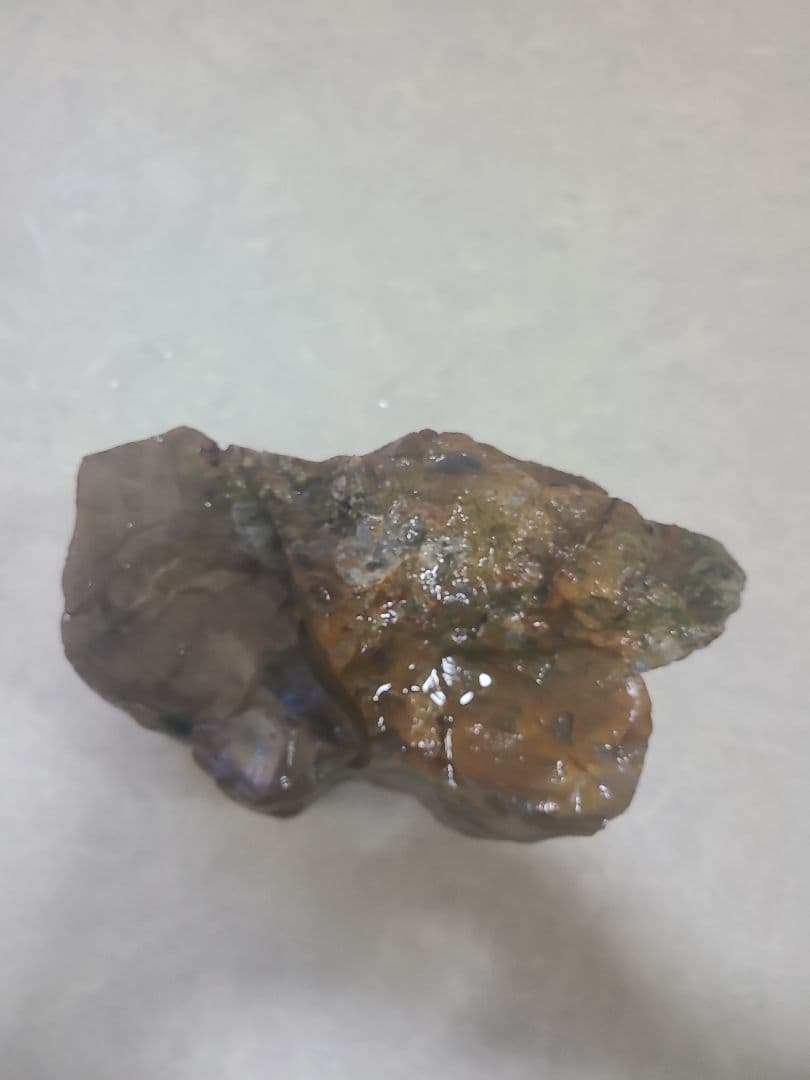 珪化木(3.8キロ)