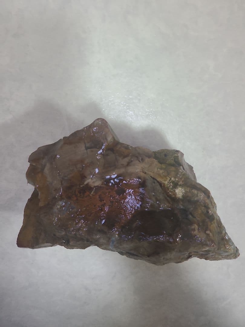 珪化木(3.8キロ)