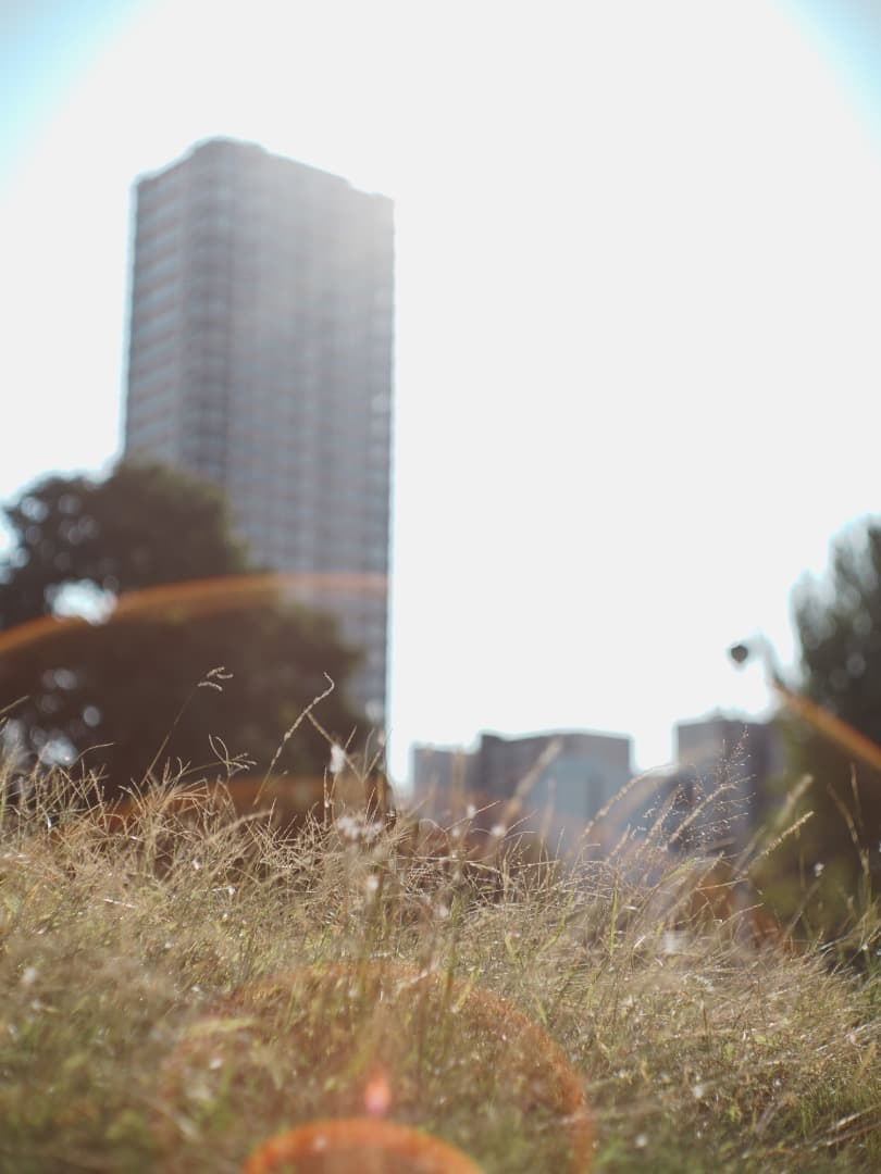 【1961年製　貴婦人】Leica Summilux 50mm