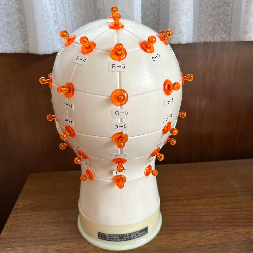 ポリカ　トレーニングウィッグセット