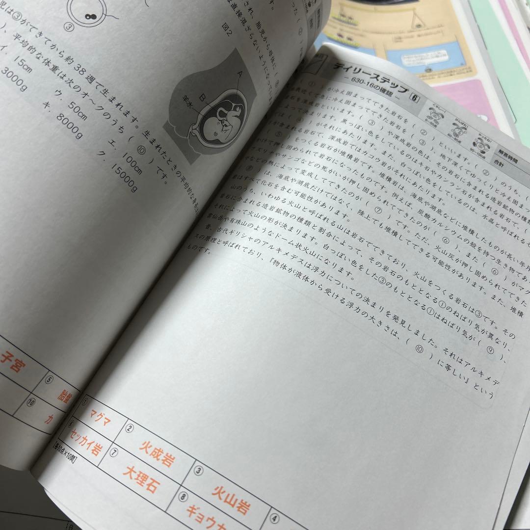 ㉔Aa サピックス　SAPIX 6年　理科　ディリーサピックス　一年分