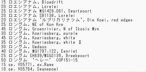 2024輸入）コノフィツム種子フルセット 合計6000粒以上