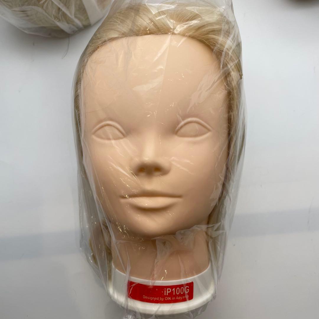 カットウィッグ　カットマネキン　ヘアアレンジ　IP100G 新品未使用