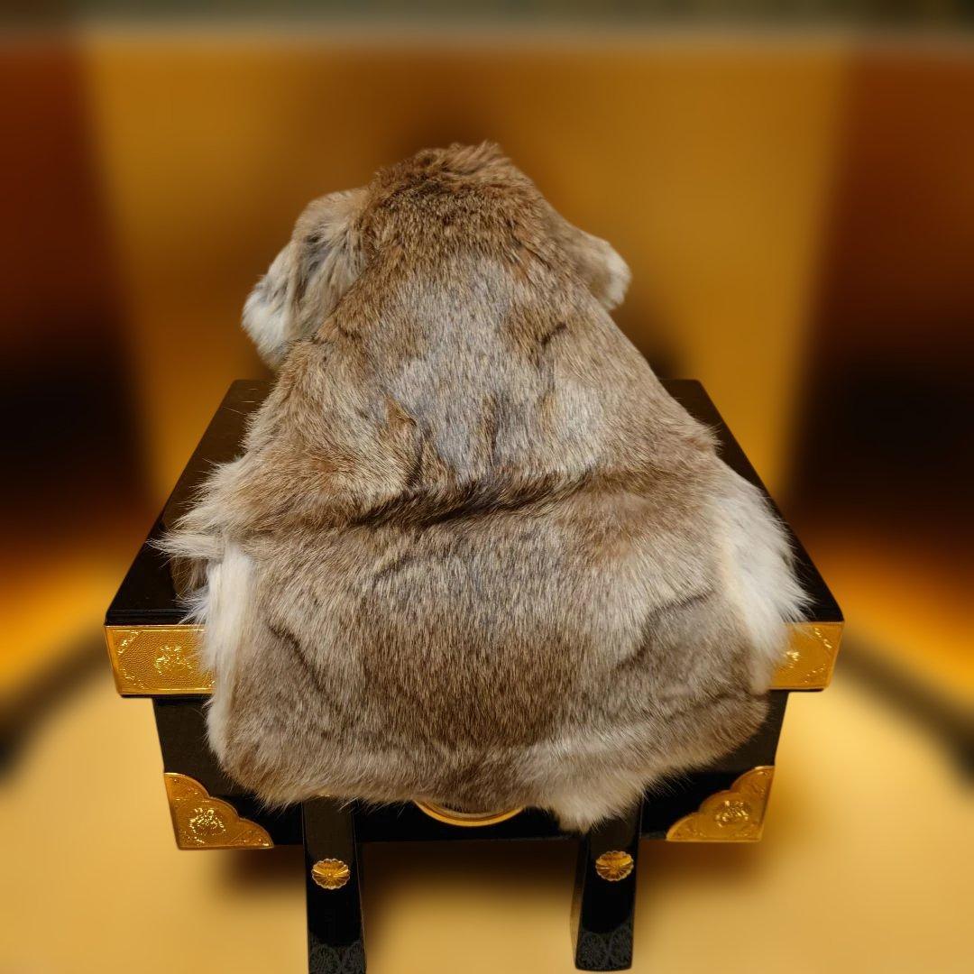 兜飾り　久月　五月飾り　端午の節句　箱付