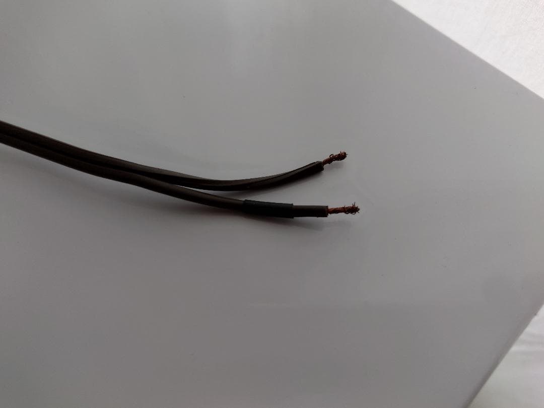 Telefunken RS 1 モノラルアンプ　セット