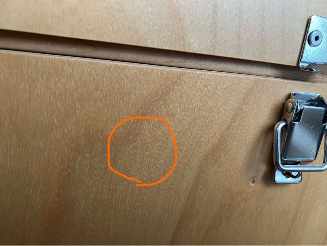 ファティーコンテナ　Fatty Containers Lサイズ　scope