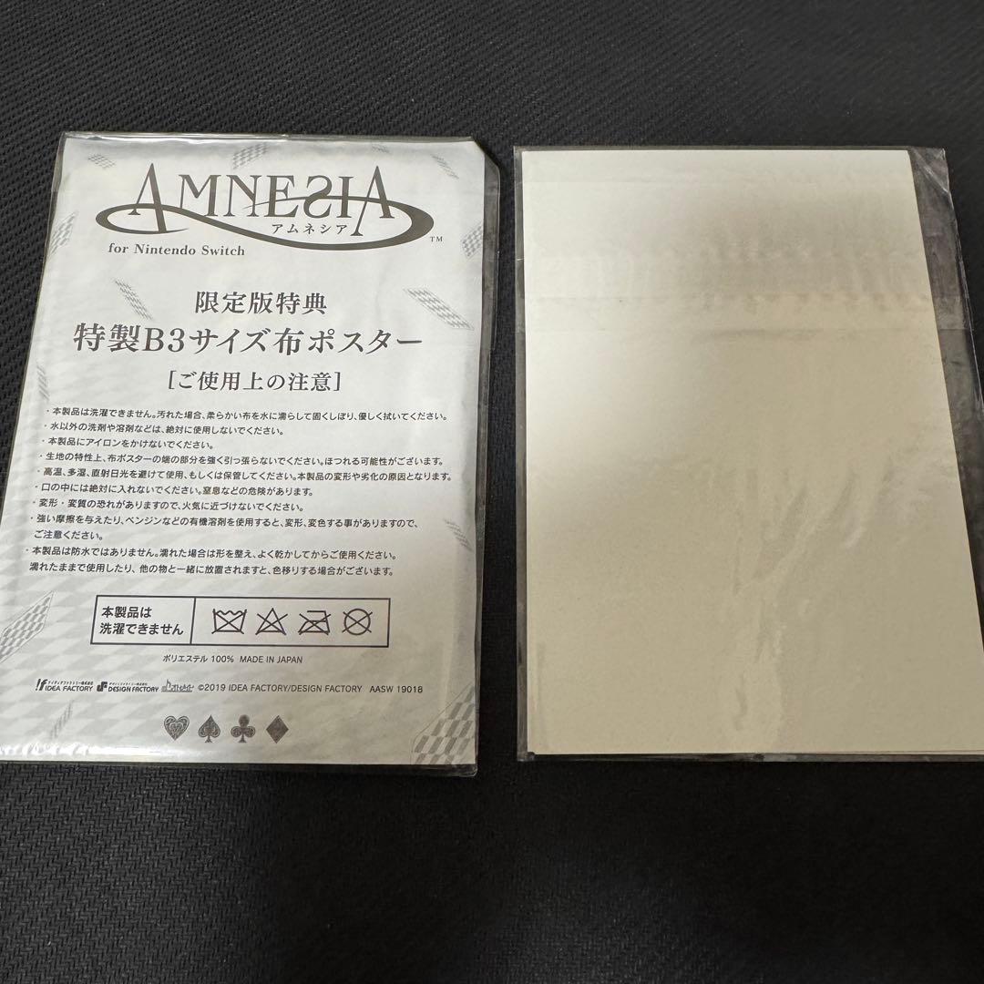 【動作確認済】AMNESIA for Nintendo Switch 限定版