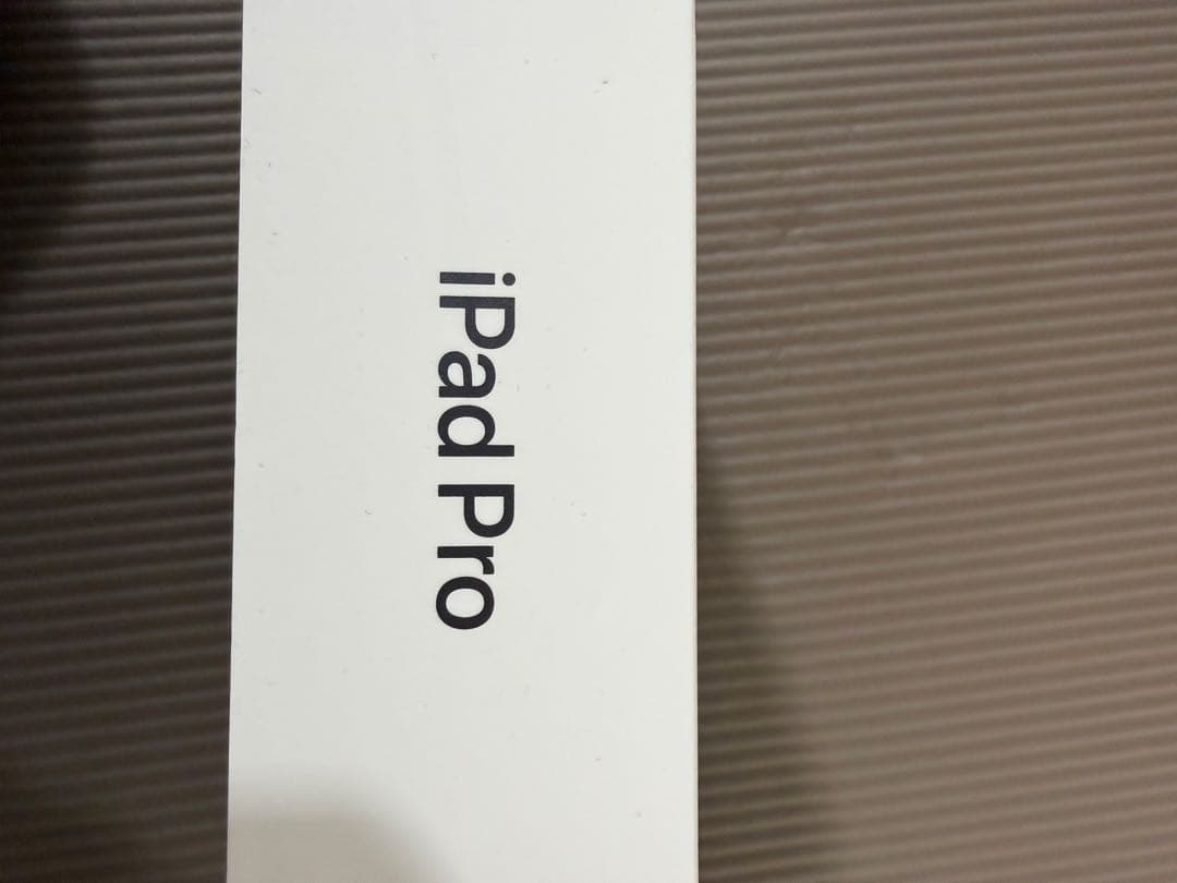 天*水様 画面焼けあり　iPad Pro 12.9インチ 256GB Wi-Fi