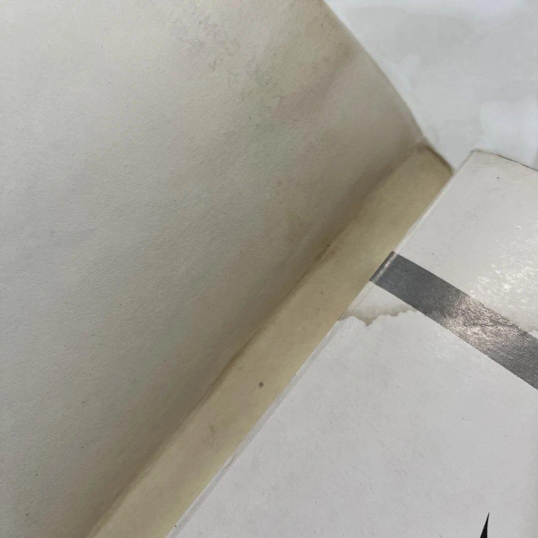 ブッダ 2 手塚治虫 希望コミックス