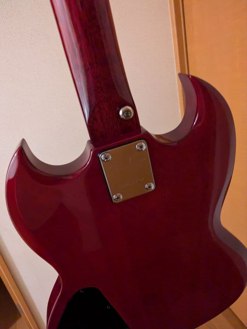 tafuさん専用　sgジュニア