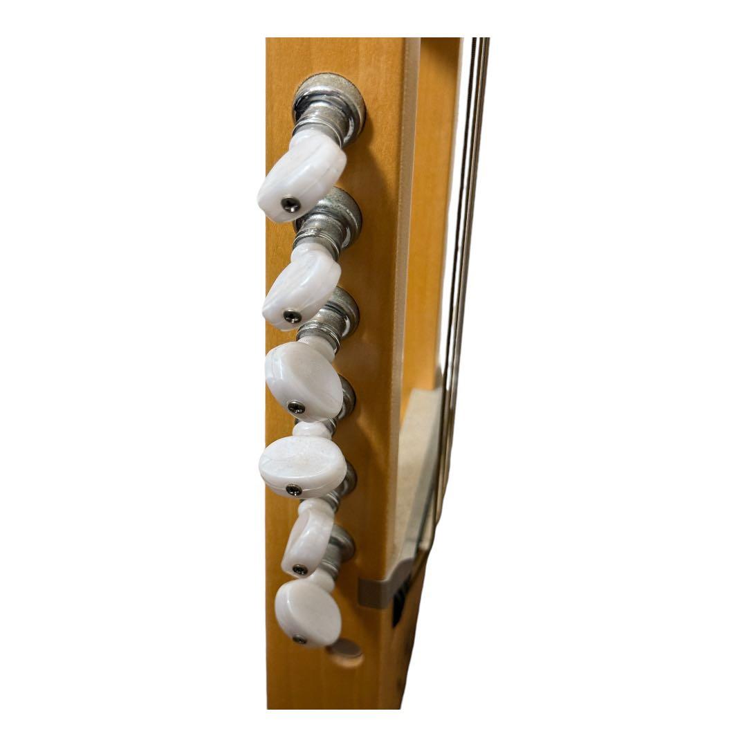 【完動品】RISA Musical Instruments エレキギター