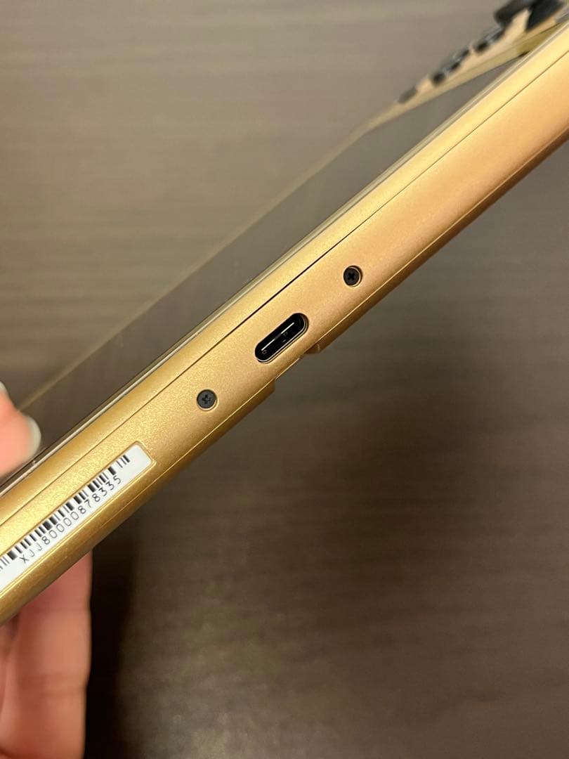 Nintendo switch lite ハイライルエディション