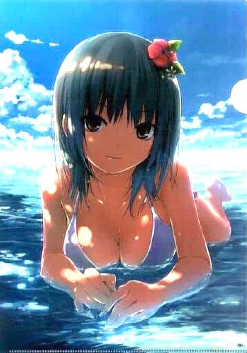 クリアファイル 珈琲貴族