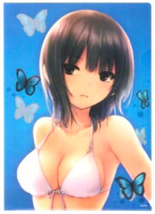 クリアファイル 珈琲貴族