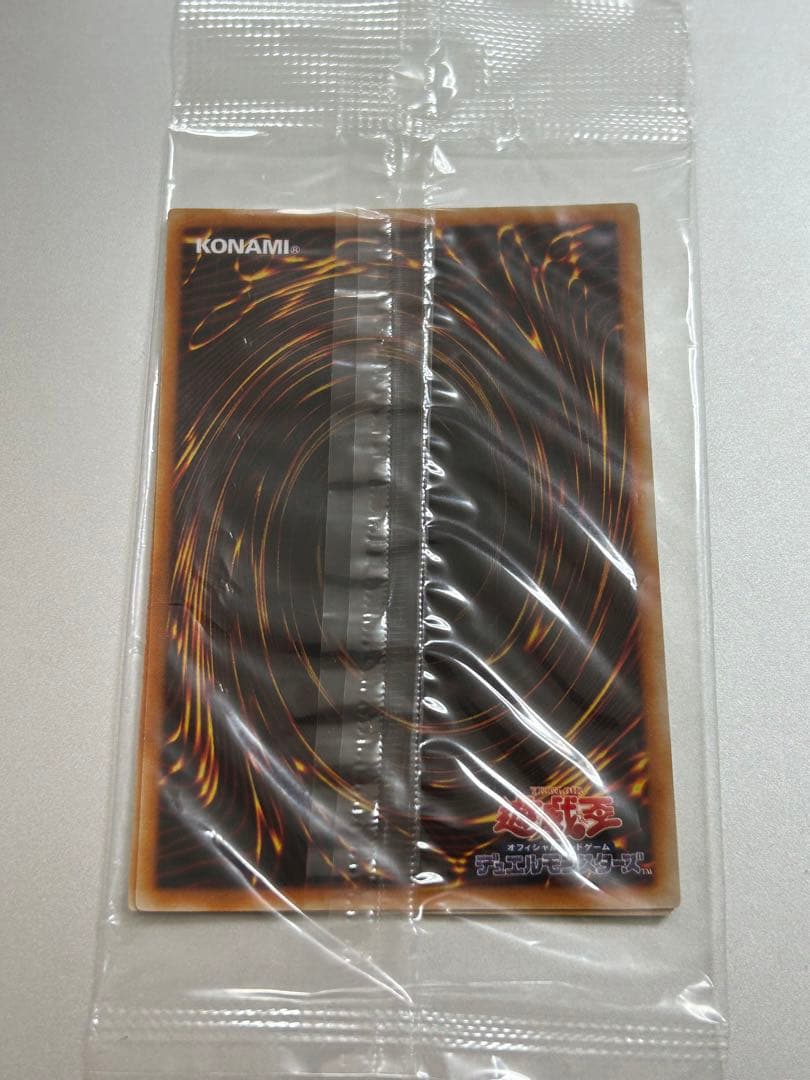 遊戯王 真紅眼の闇竜 レリーフ　未開封