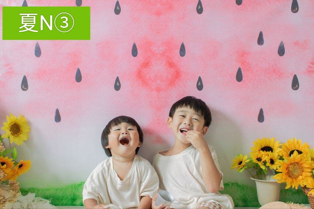 背景布×7+1　ペット撮影用フォトブース　トリミングチョーカー販売中　夏、秋、冬