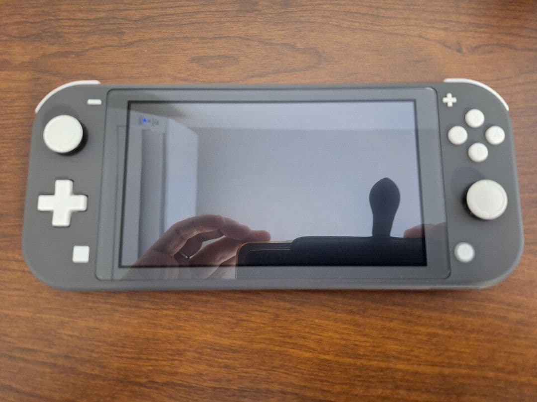 Nintendo Switch Lite本体 グレー(おまけ付き)