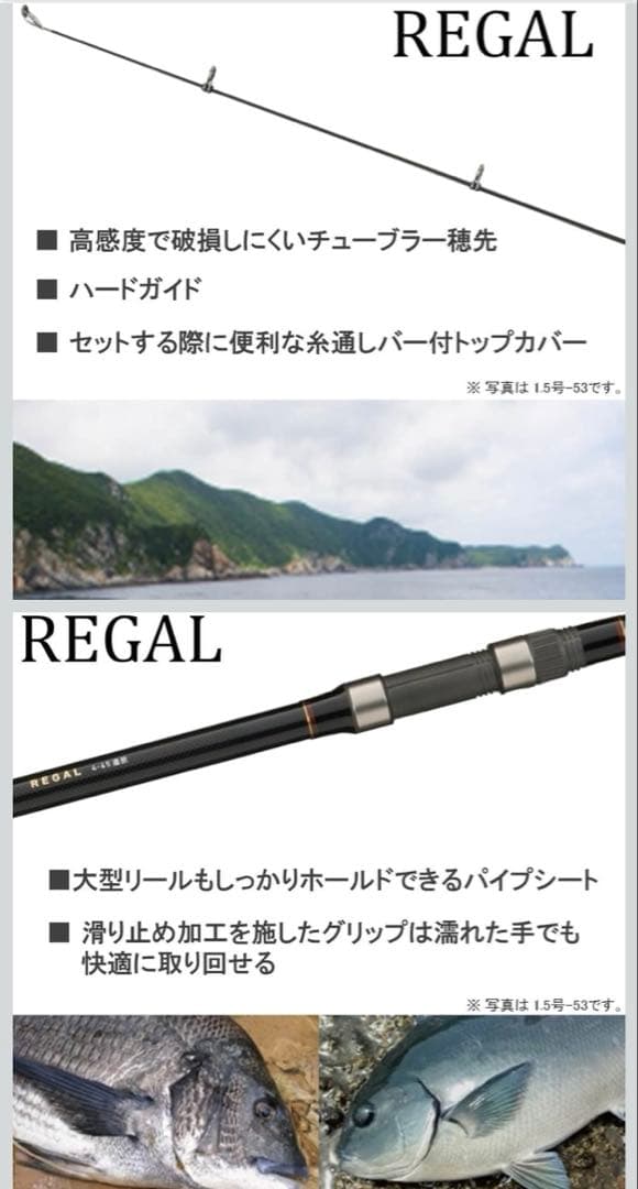 REGAL 磯竿3号 53遠投 降り出し