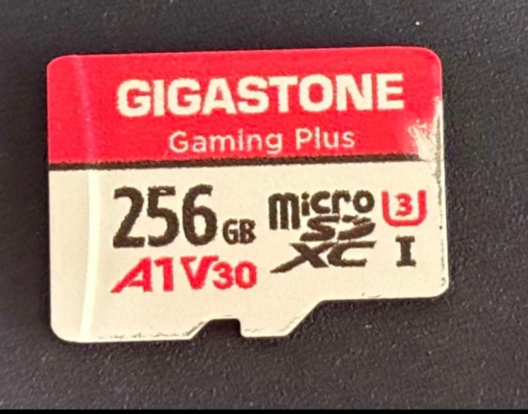 Sony ウォークマン NW-A306 32GB ケース SD256GBセット