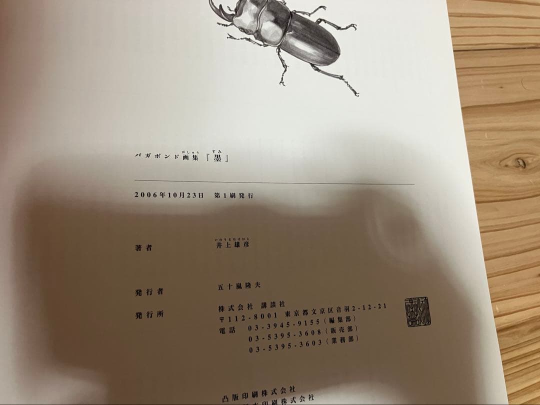 井上雄彦 バガボンド画集