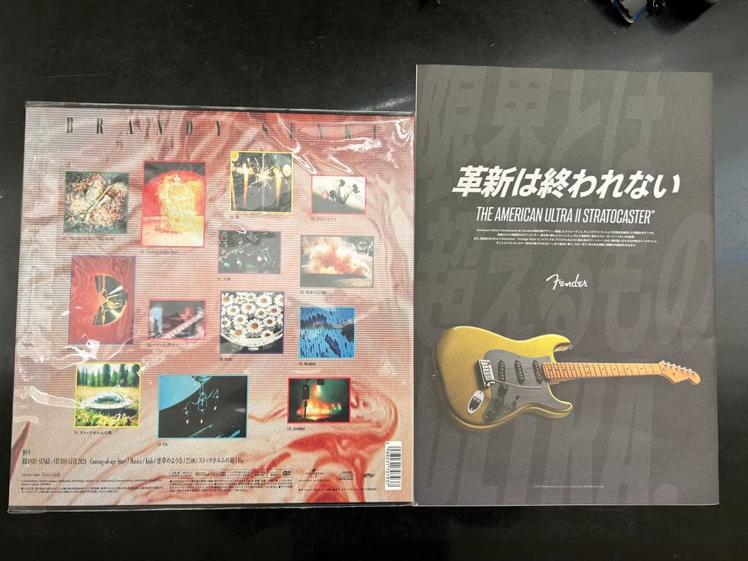 ブランデー戦記「BRANDY SENKI 」初回限定CD+DVD 蓮月さんサイン