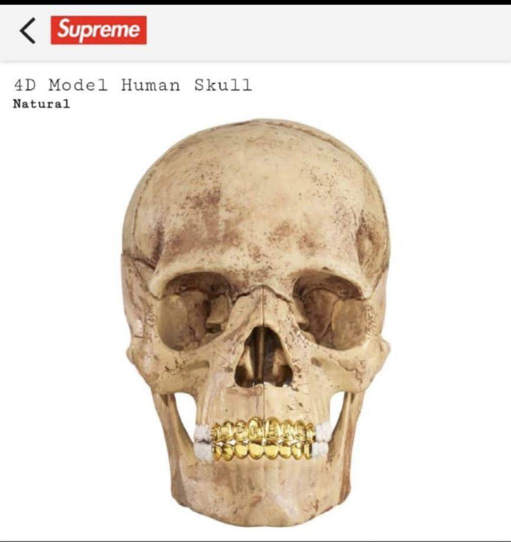 未開封 Supreme 4D Model Human Skull Natural