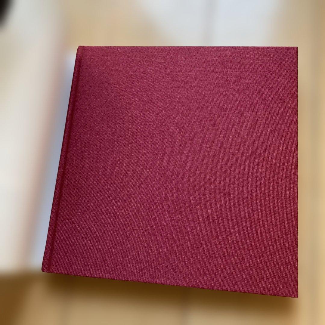 アート・デザイン・音楽 SAUL LEITER Early Color