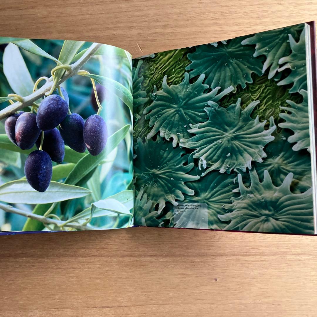 [NANO NATURE]R.ジョーンズ　英コリンズ社電子顕微鏡による驚異の実相