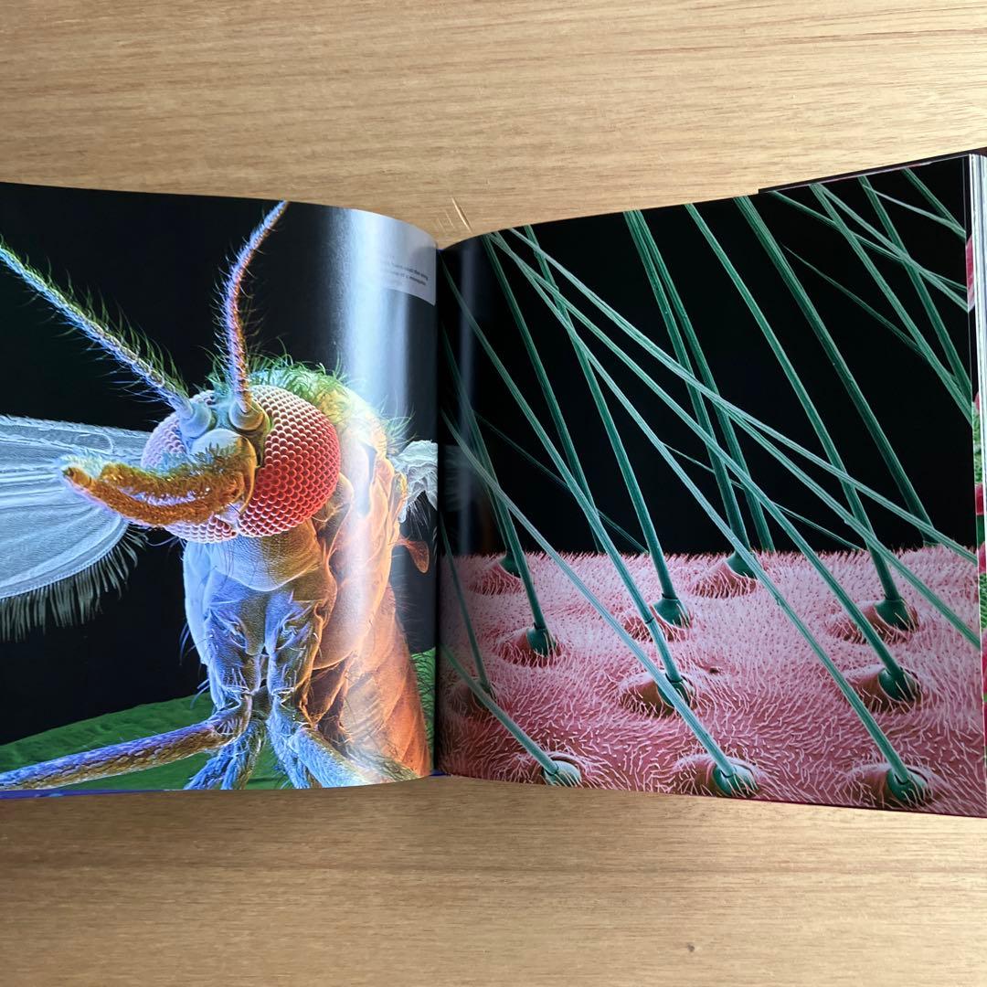 [NANO NATURE]R.ジョーンズ　英コリンズ社電子顕微鏡による驚異の実相