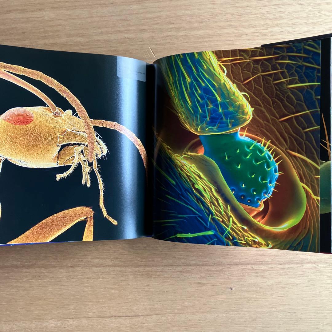 [NANO NATURE]R.ジョーンズ　英コリンズ社電子顕微鏡による驚異の実相