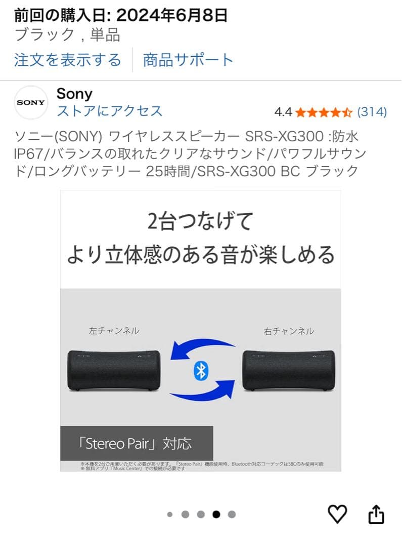 【！特別価格！】さらに【！専用ケース付き！】 ★SRS-XG300 グレー