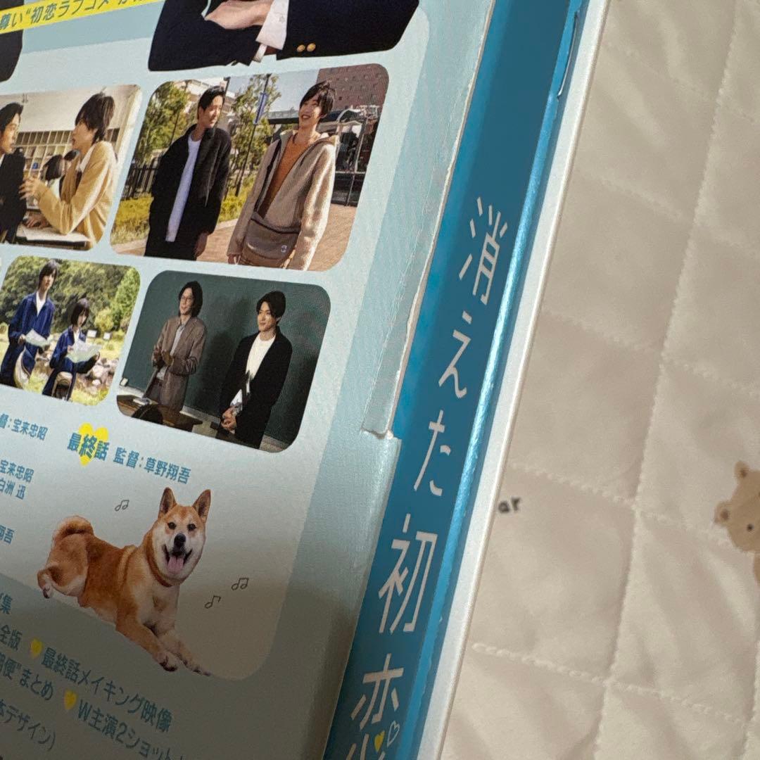 消えた初恋 DVD-BOX〈4枚組〉道枝駿佑 目黒蓮