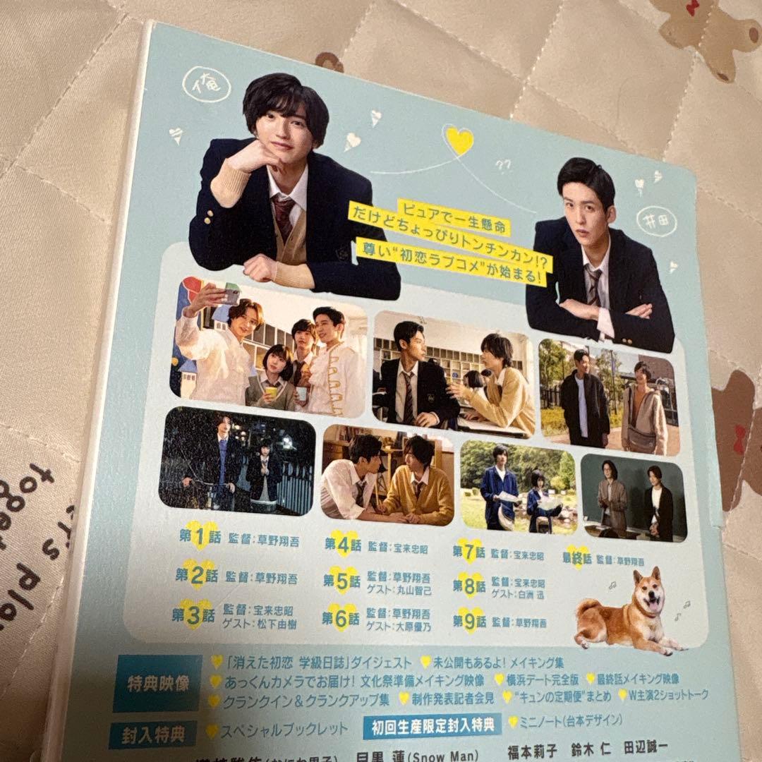 消えた初恋 DVD-BOX〈4枚組〉道枝駿佑 目黒蓮