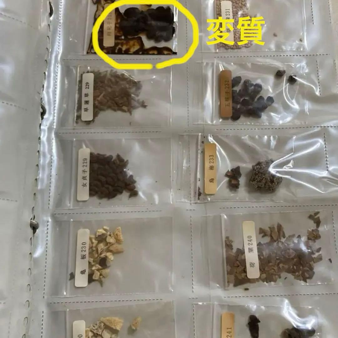 劇レア　中医学　漢方　上海中医薬大学通信教育テキスト　ビデオ　生薬サンプル　貴重