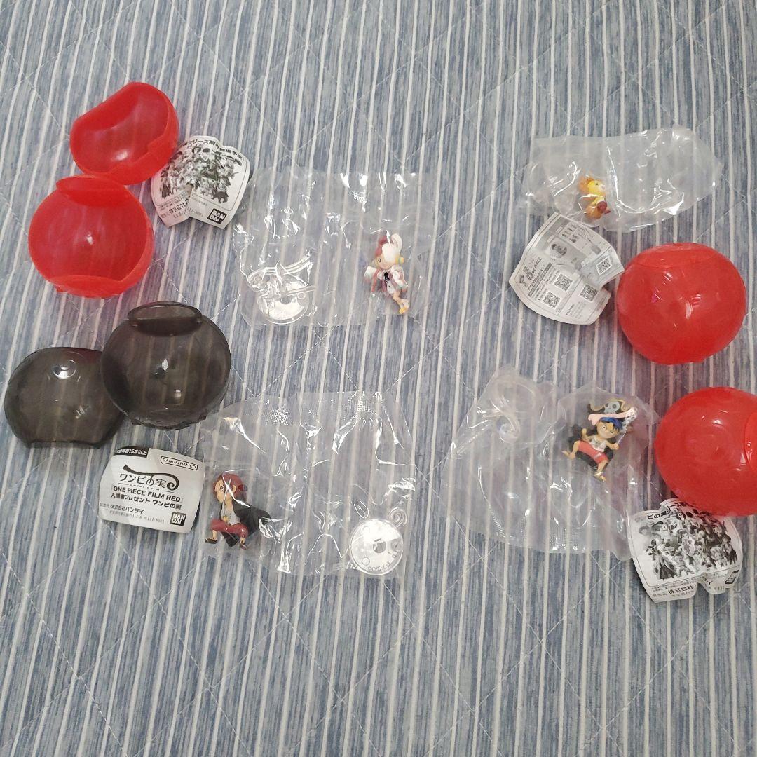 ワンピの実24点