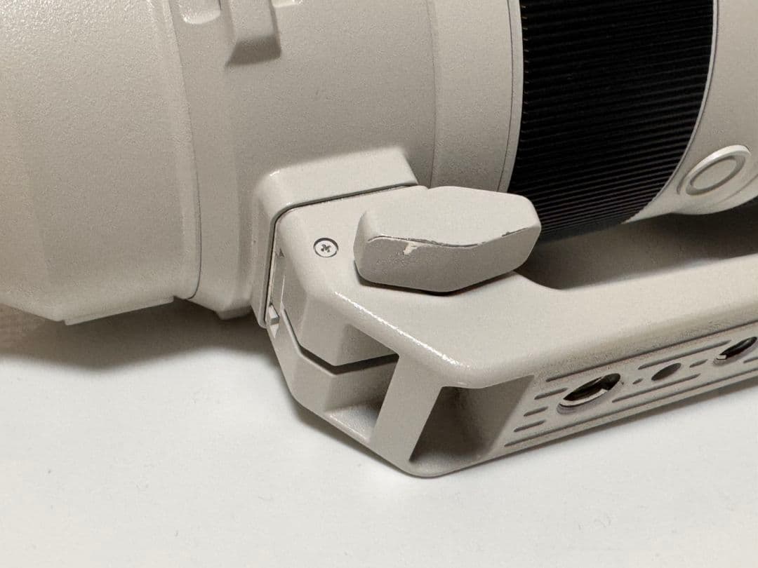 レンズ(ズーム) SONY FE200-600mm F5.6-6.3 G OSS